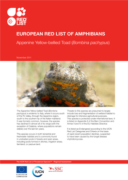 EUROPEAN RED LIST of AMPHIBIANS Appenine Yellow-Bellied Toad (Bombina Pachypus)