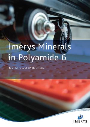 Imerys Minerals in Polyamide 6