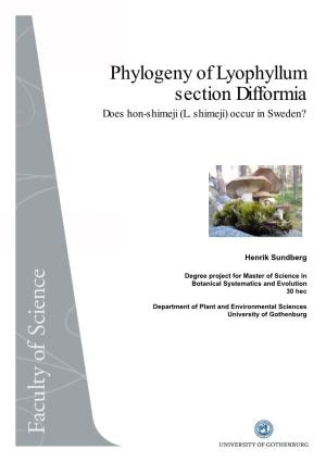 Phylogeny of Lyophyllum Section Difformia Does Hon-Shimeji (L