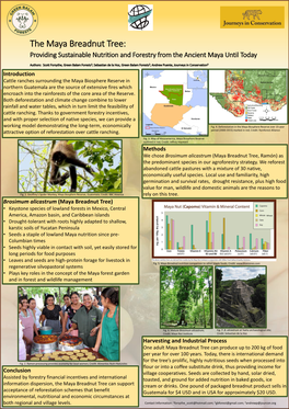 The Maya Breadnut Tree: Providing Sustainable Nutrition and Forestry from the Ancient Maya Until Today