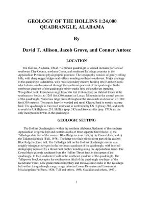 Geology of the Hollins 1:24,000 Quadrangle, Alabama