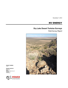 Dry Lake Desert Tortoise Surveys Field Survey Report