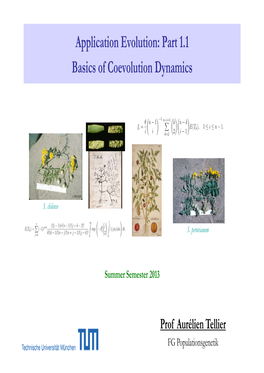 Application Evolution: Part 1.1 Basics of Coevolution Dynamics