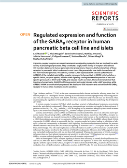 Regulated Expression and Function of the GABAB Receptor in Human