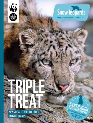 Snow Leopards YOUR ADOPTION UPDATE • SPRING 2017