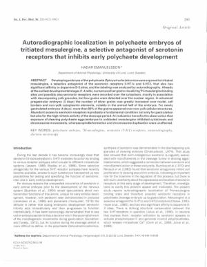 Autoradiographic Localization in Polychaete Embryos of Tritiated Mesulergine, a Selective Antagonist of Serotonin Receptors That Inhibits Early Polychaete Development