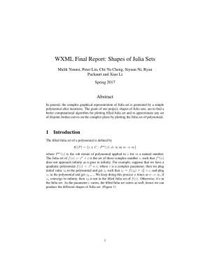WXML Final Report: Shapes of Julia Sets