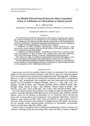 Action of Antibiotics on Chloroplasts of Euglena Gracilis