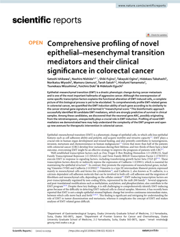 Comprehensive Profiling of Novel Epithelial–Mesenchymal Transition