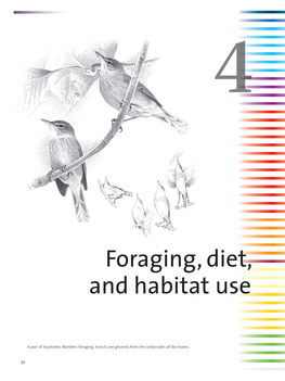 Foraging, Diet, and Habitat