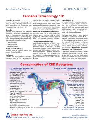 Cannabis Terminology 101