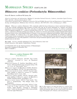 Rhinoceros Sondaicus (Perissodactyla: Rhinocerotidae)