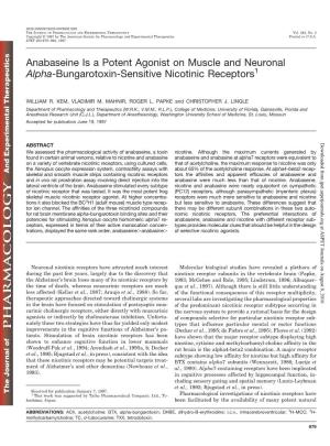 Anabaseine Is a Potent Agonist on Muscle and Neuronal Alpha-Bungarotoxin-Sensitive Nicotinic Receptors1