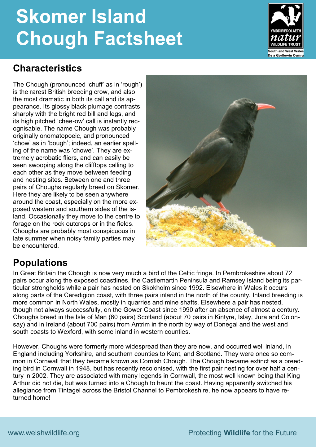 Chough Factsheet