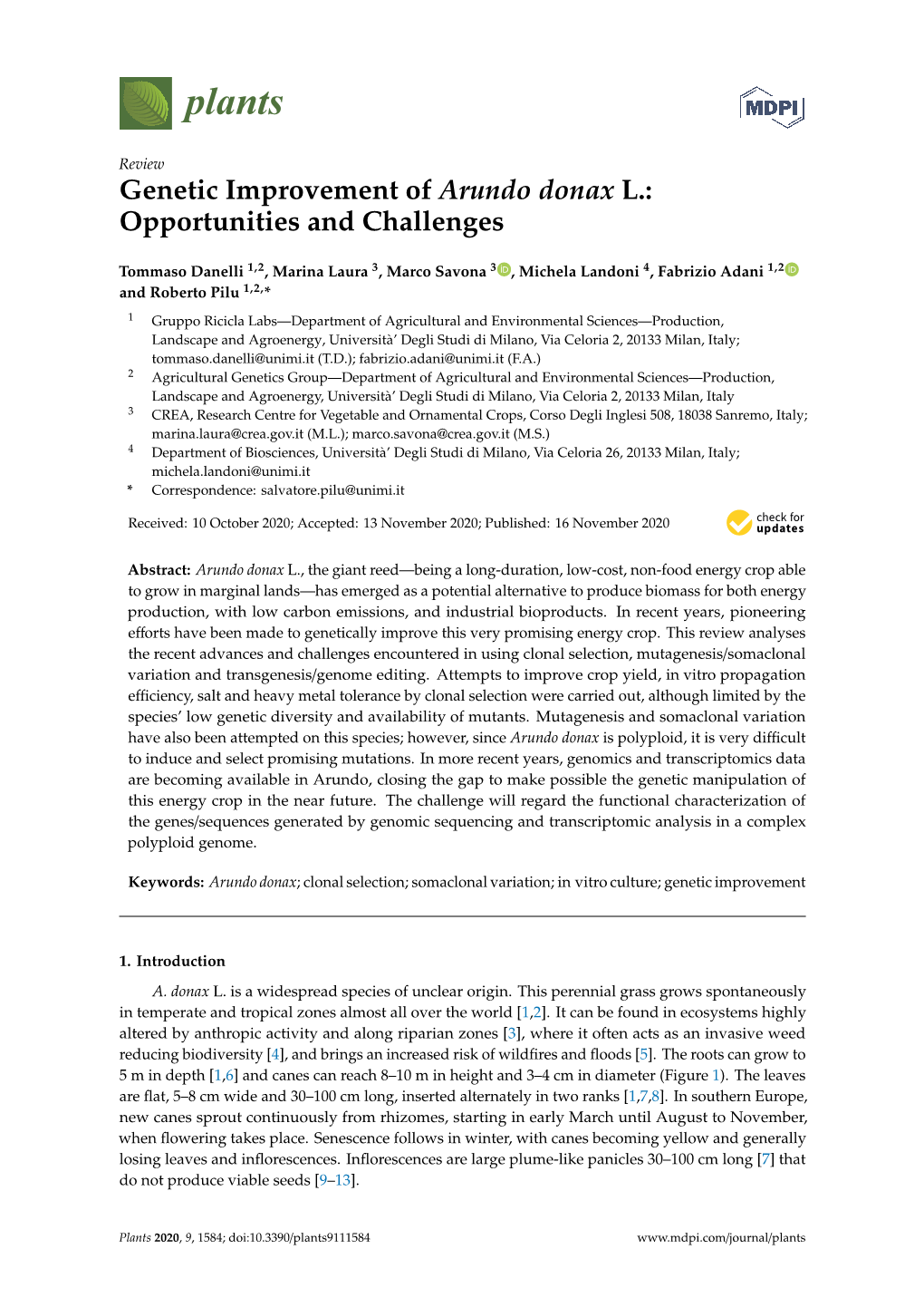 Genetic Improvement of Arundo Donax L.: Opportunities and Challenges