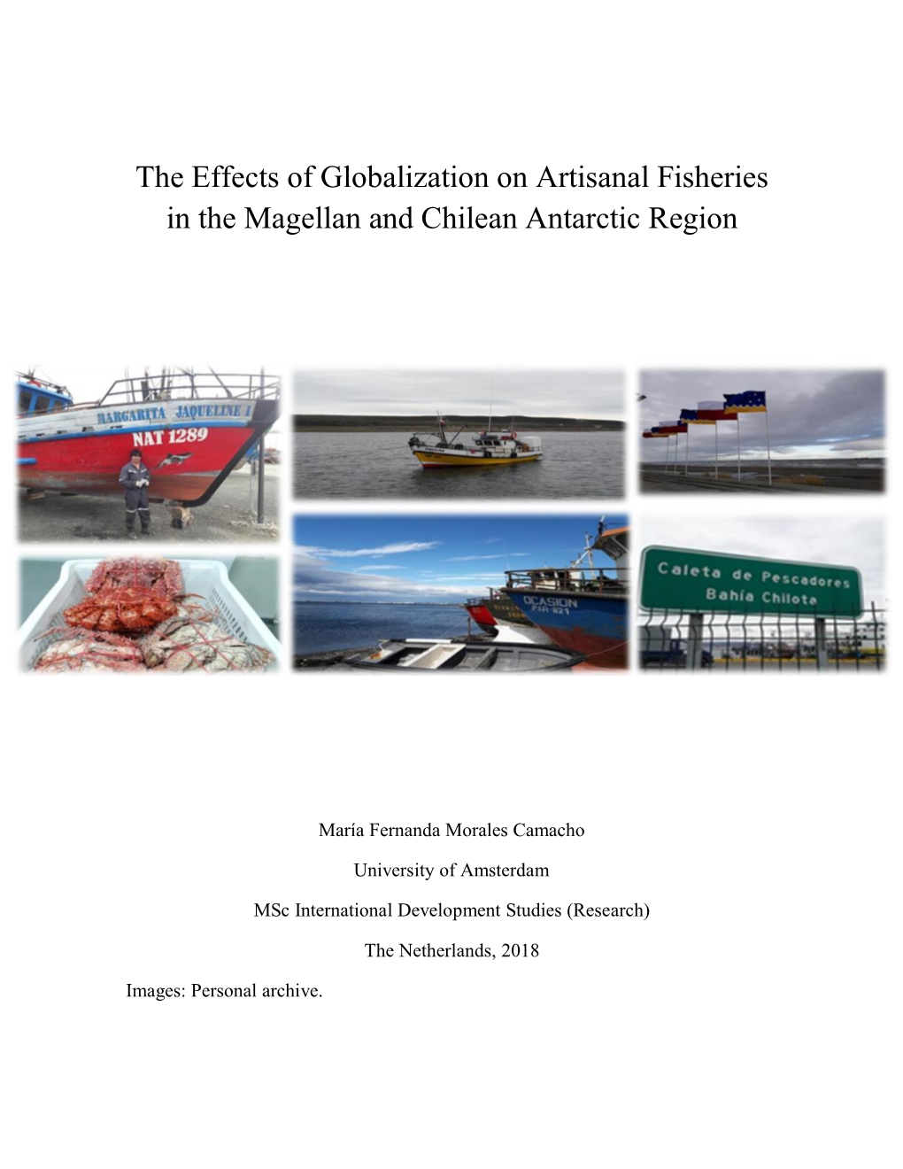 The Effects of Globalization on Artisanal Fisheries in the Magellan and Chilean Antarctic Region