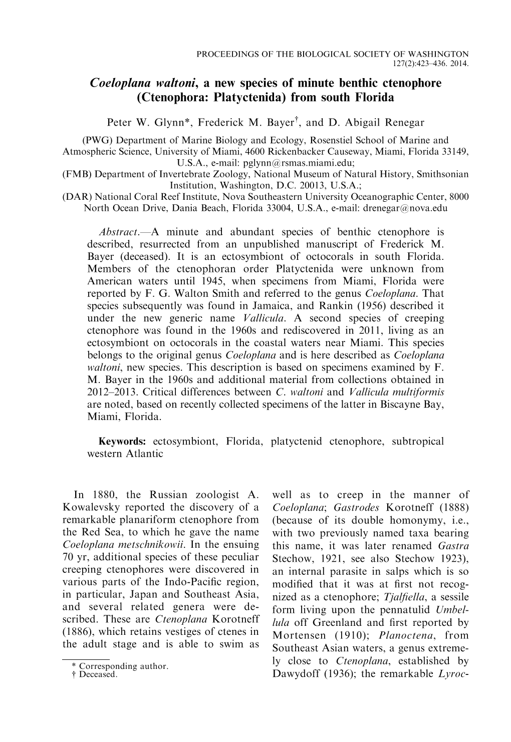 Coeloplana Waltoni, a New Species of Minute Benthic Ctenophore (Ctenophora: Platyctenida) from South Florida