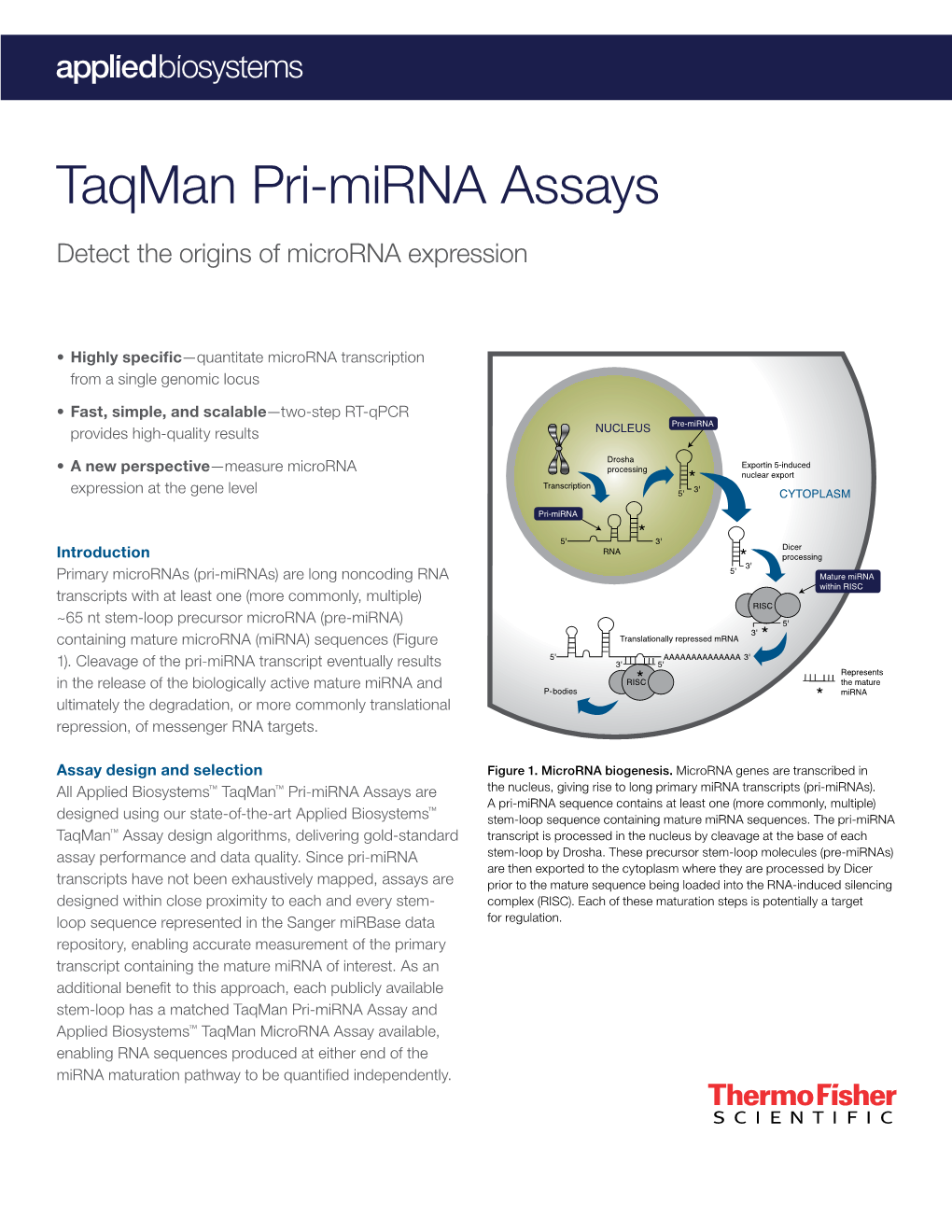 Taqman Pri-Mirna Assays