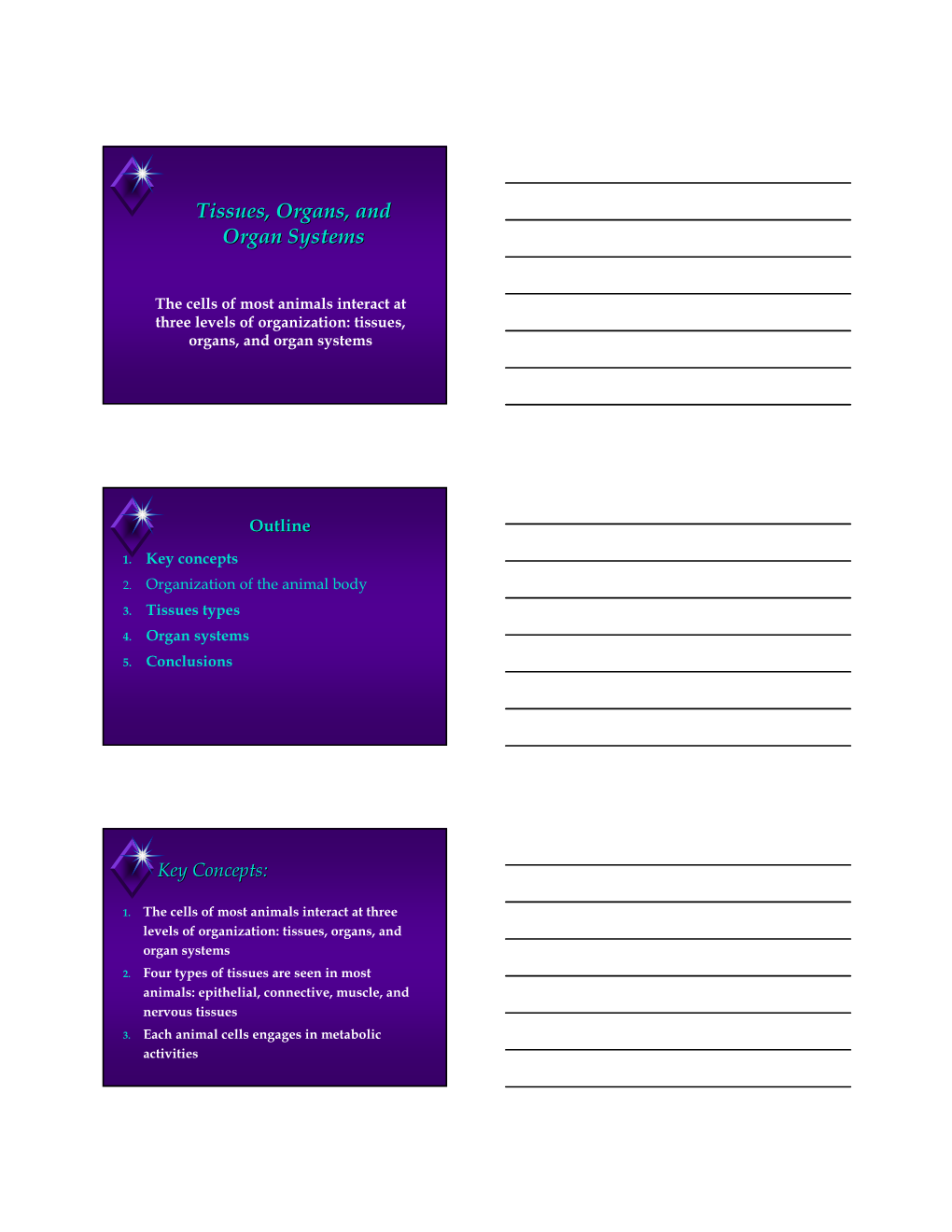 Tissues, Organs, and Organ Systems