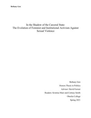 The Evolution of Feminist and Institutional Activism Against Sexual Violence