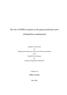 The Role of NMDA Receptors in the Pigeon Prefrontal Cortex