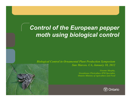 Control of the European Pepper Moth Using Biological Control