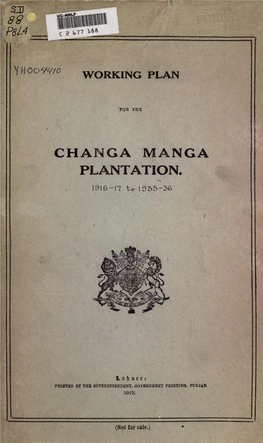 Changa Manga Plantation