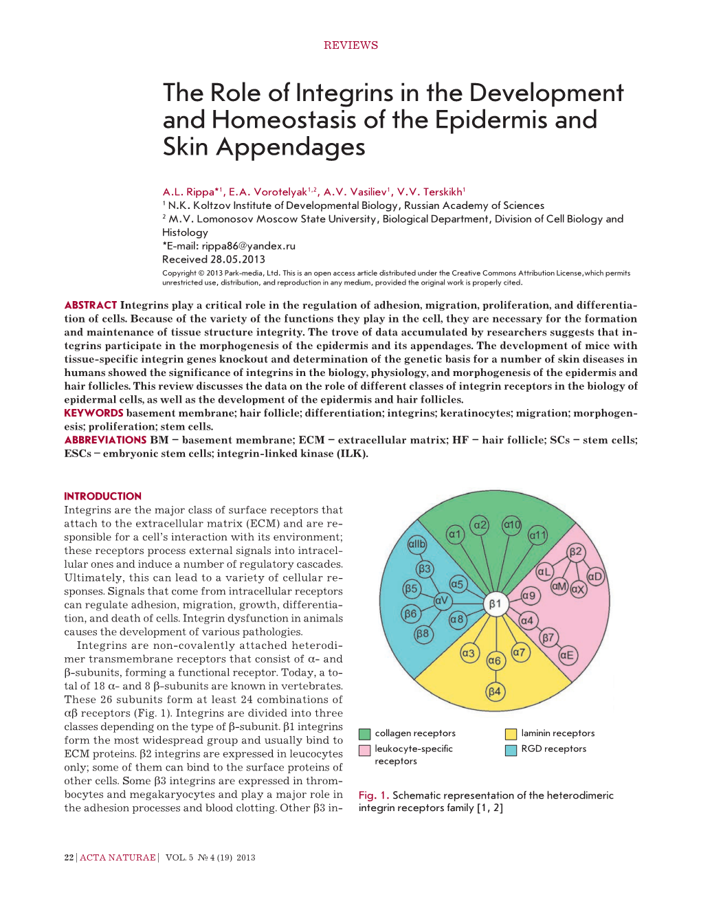 The Role of Integrins in the Development and Homeostasis of the