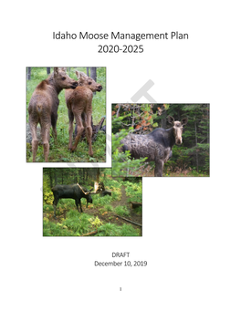 Idaho Moose Management Plan 2020-2025