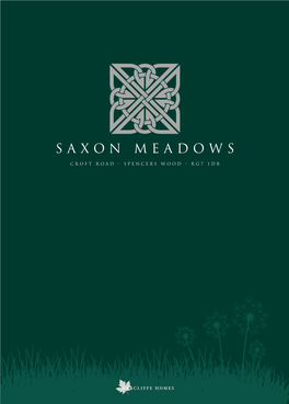 Saxon Meadows