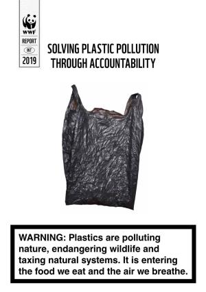 Solving Plastic Pollution Through Accountability 5 CALL to ACTION