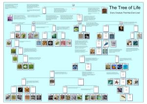 The Evolutionary Tree of Life