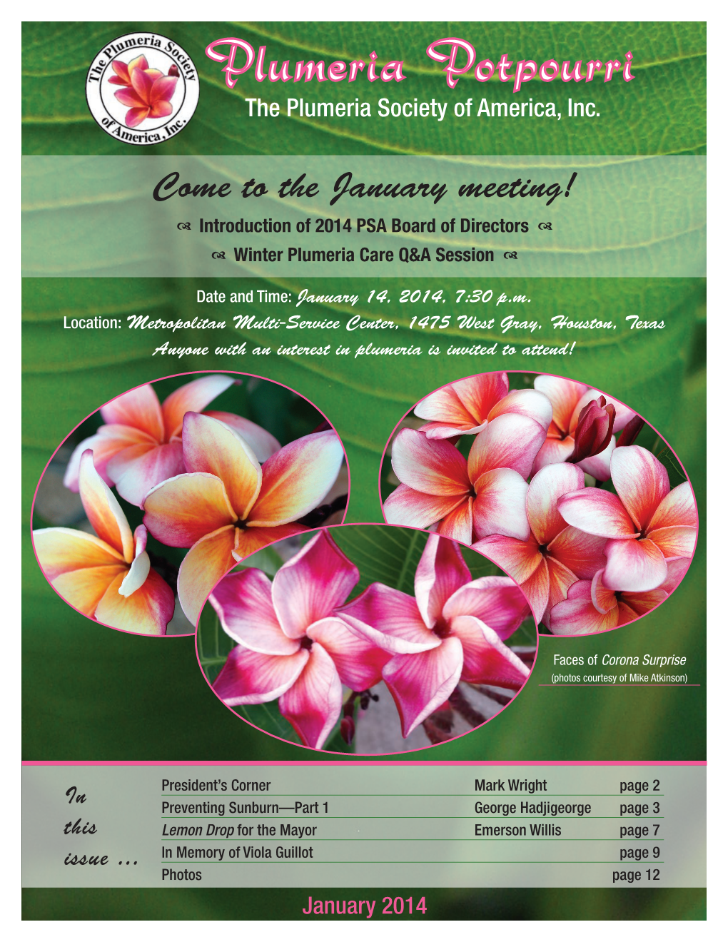 Come to the January Meeting! D Introduction of 2014 PSA Board of Directors D D Winter Plumeria Care Q&A Session D
