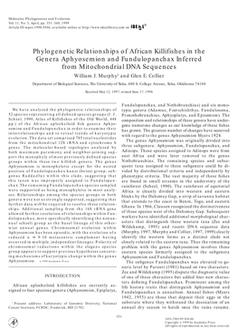 Phylogenetic Relationships of African Killifishes in the Genera Aphyosemion and Fundulopanchax Inferred from Mitochondrial DNA Sequences William J