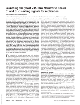 Launching the Yeast 23S RNA Narnavirus Shows 5 and 3 Cis