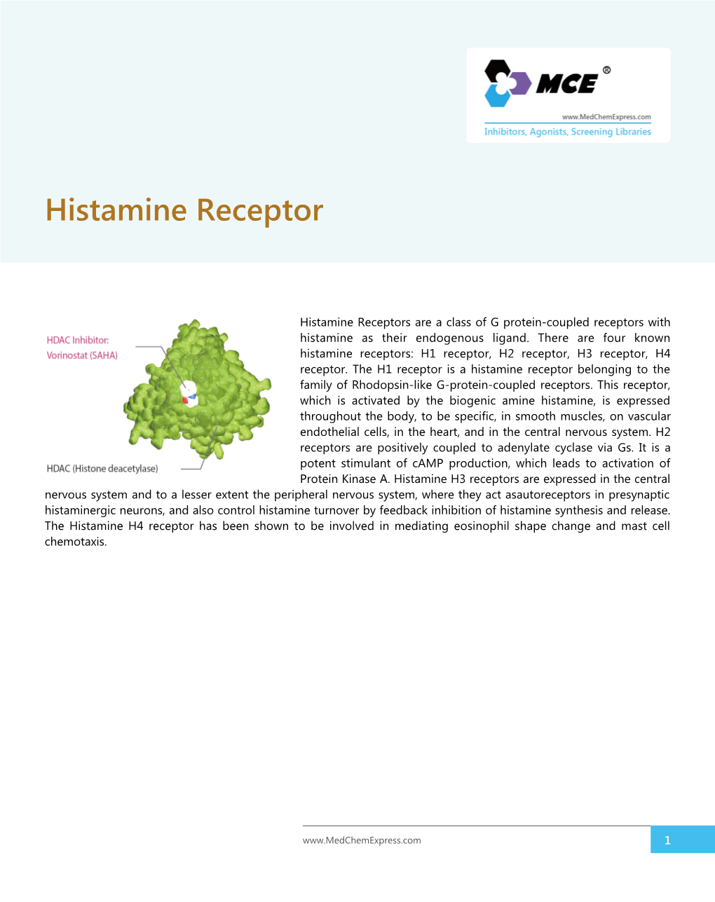 Histamine Receptor