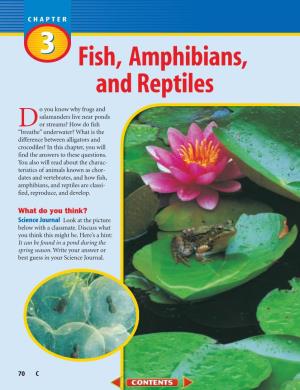 C: Chapter 3: Fish, Amphibians, and Reptiles