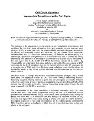 Cell Cycle Vignettes Irreversible Transitions in the Cell Cycle