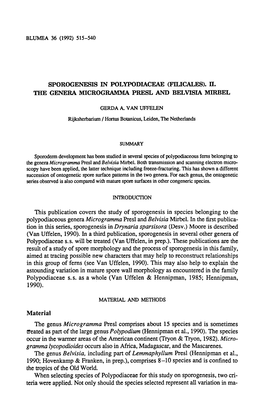 Genus Microgramma Presl Comprises About Species Treated of the the As Part Large Genus Polypodium (Hennipman Et Al., 1990)