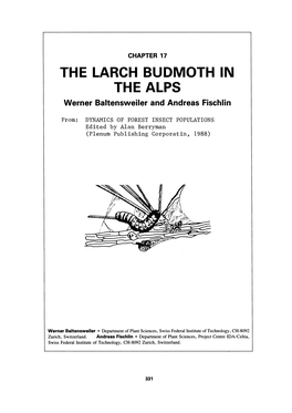 The Larch Bud Moth in the Alps