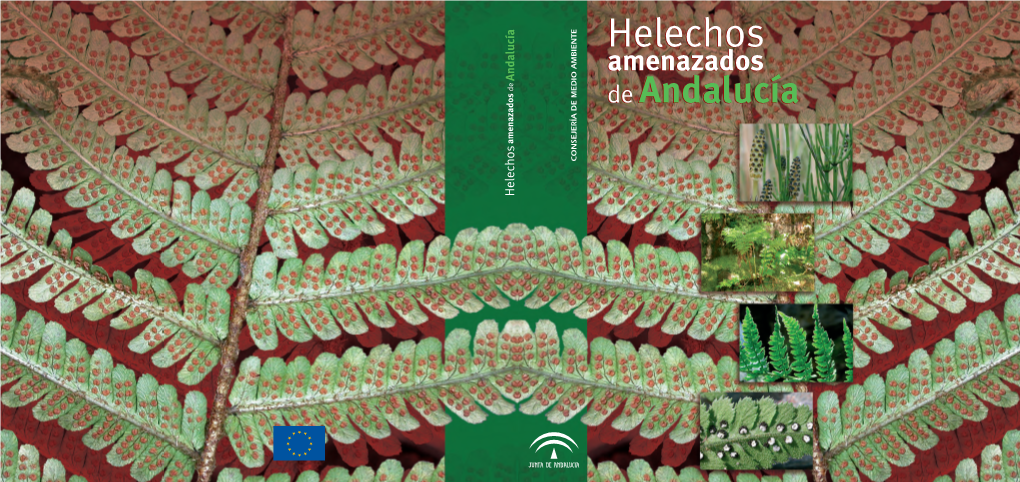 Helechos Amenazados De Andalucía