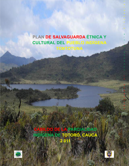 Diagnóstico Comunitario Pueblo Totoró