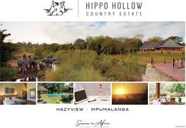 Hippo-Hollow.Pdf