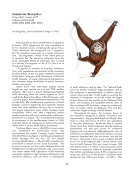 Sumatran Orangutan Pongo Abelii Lesson, 1827 Indonesia (Sumatra) (2000, 2002, 2004, 2006, 2008)