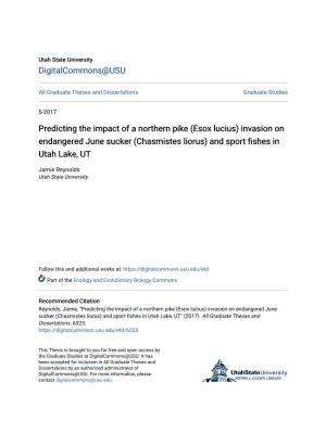 Predicting the Impact of a Northern Pike (Esox Lucius) Invasion on Endangered June Sucker (Chasmistes Liorus) and Sport Fishes in Utah Lake, UT