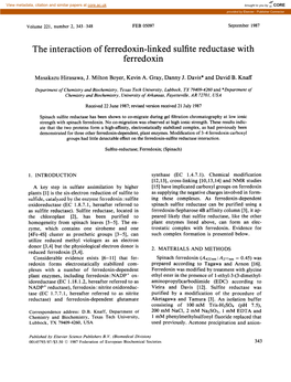 The Interaction of Ferredoxin-Linked Sulfite Reductase with Ferredoxin