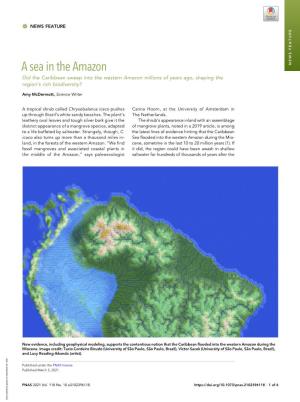 News Feature: a Sea in the Amazon