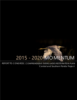 2015 – 2020 Momentum: Report to Congress