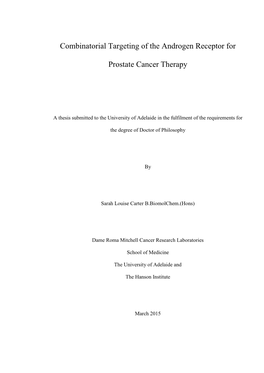 Combinatorial Targeting of the Androgen Receptor for Prostate