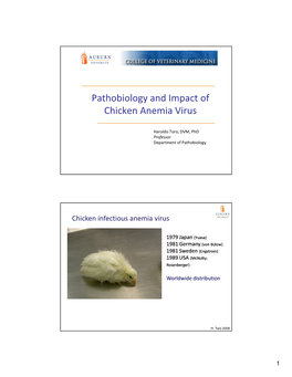 Pathobiology and Impact of Chicken Anemia Virus